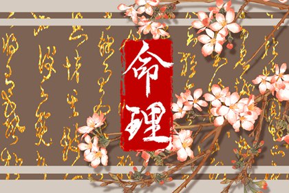 带农历与黄历的万年历 农历2025年老黄历 农历黄历